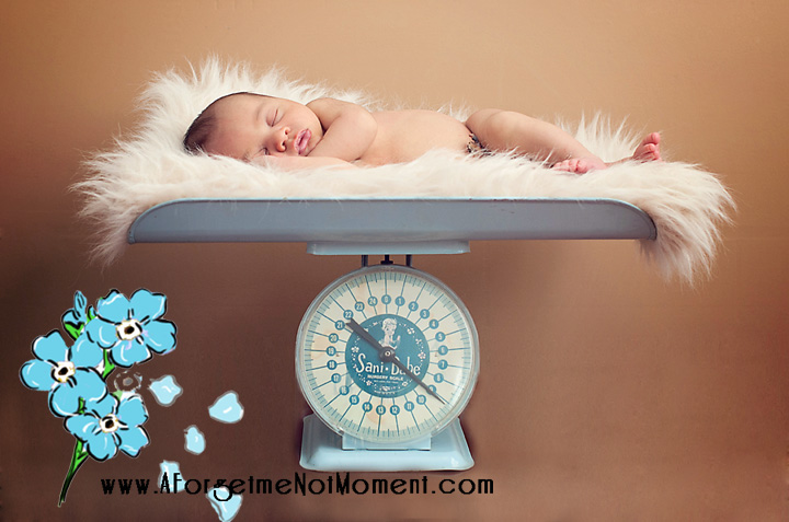 Greensboro_Newborn_Photographer_PForeman